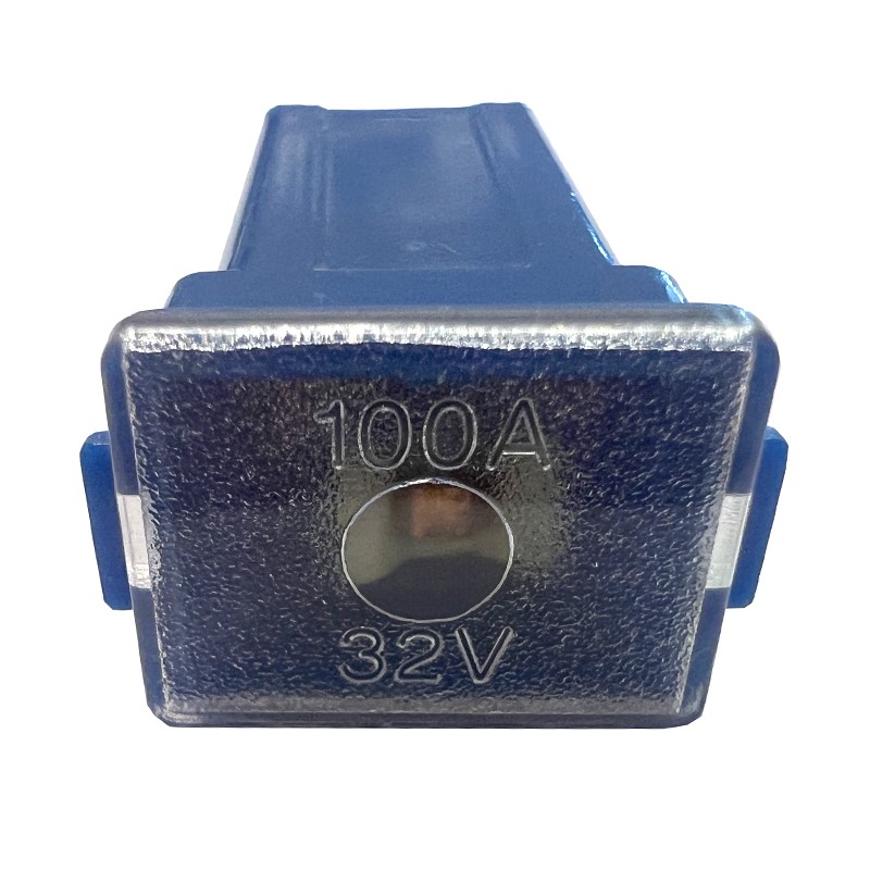 Fusible PAL / FLF MINI 100A bleu terminaux femelles