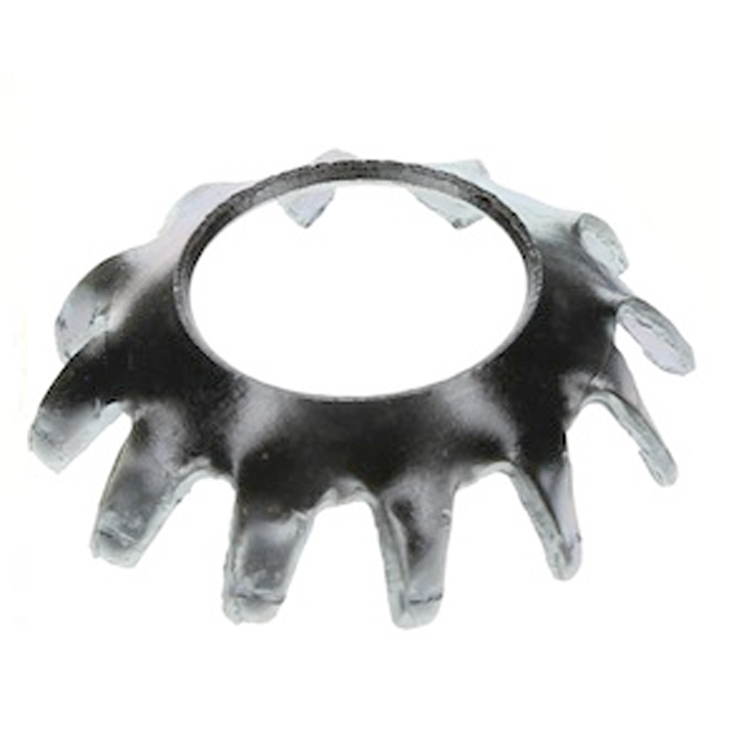 Rondelle de blocage conique à denture externe #6 zinc