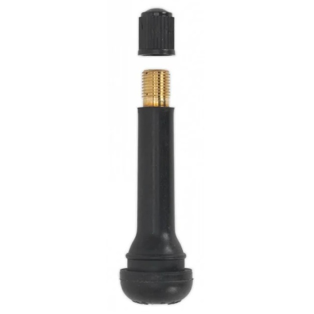 TUBELESS TIRE VALVE 2 X .453 (418)
