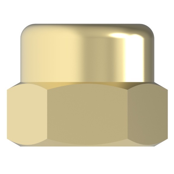 Weatherhead brass cap 1/8 F-NPT