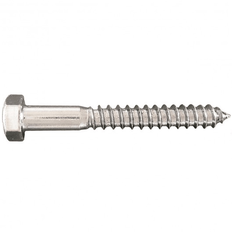 Hex lag screw 1/4-10 X 1 G2 zinc (FT)