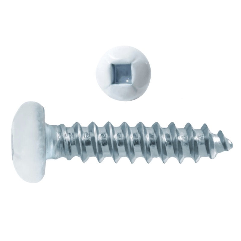 Tapping screw pan head square drive #8 X 2 gloss white painted head