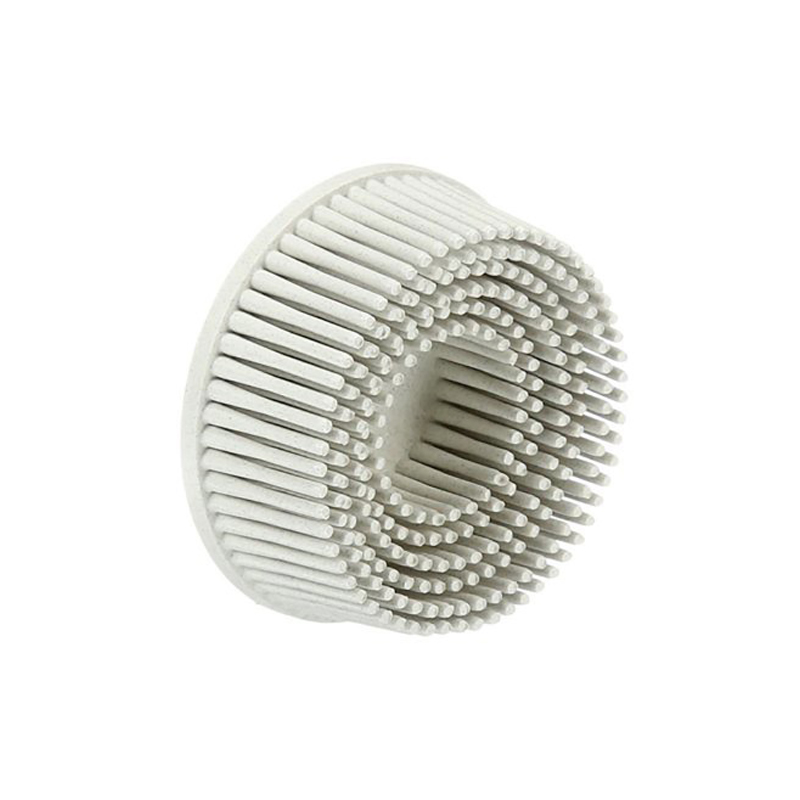 DISQUES BRISTLE ROLOC G120 BLANC 2