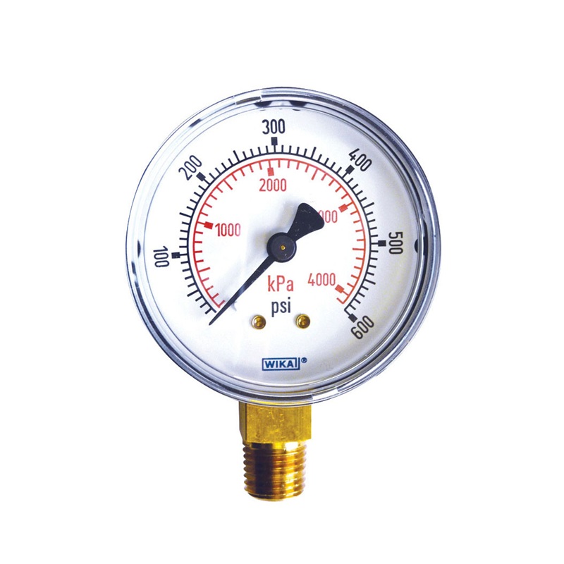 Steel dry pressure gauge 0 to 600 PSI 2-1/2 in X 1/4 M-NPT base mount