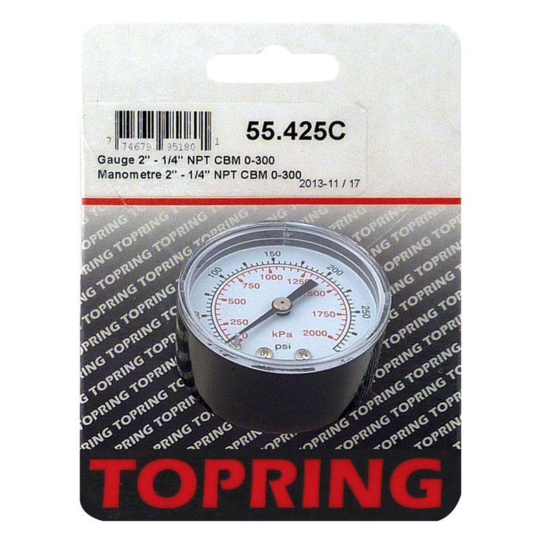 Steel dry pressure gauge 0 to 300 PSI 2 in X 1/4 M-NPT center back mount