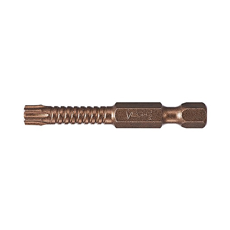 Impactech TORX 10 Power Bit x 2