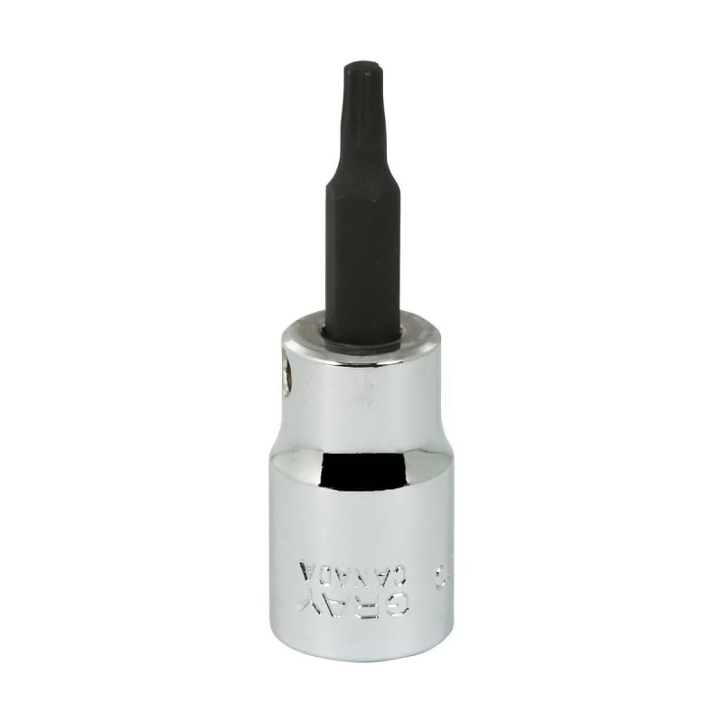 SOCKET TORX HEAD 3/8in DR T20